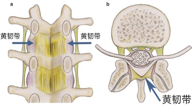 邵陽創(chuàng)傷骨科,邵陽風(fēng)濕病區(qū),邵陽骨質(zhì)增生,邵陽關(guān)節(jié)病區(qū),邵陽頸椎病區(qū)